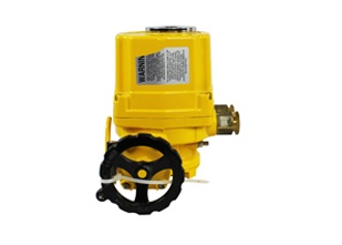 Electric Actuator