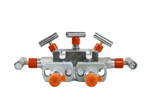 Manifold and Stabilizer 